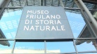 Serracchiani, Museo friulano storia naturale ha trovato casa
